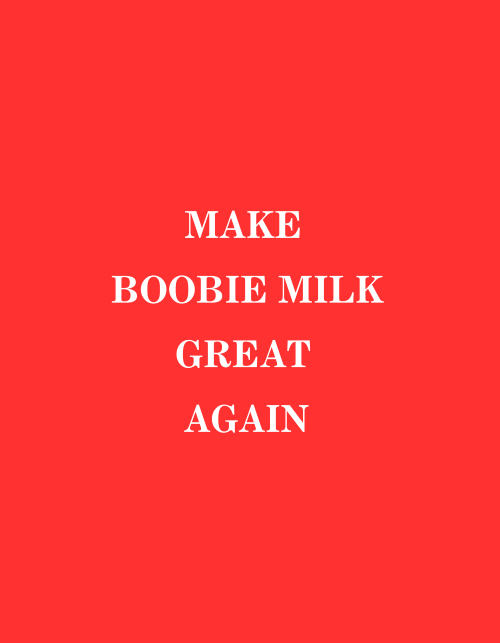 Make These toddlers Great Again (choose your print)